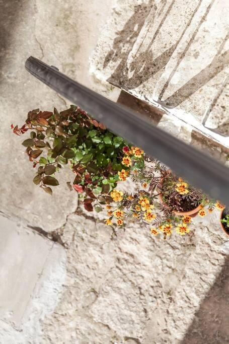 Casetta Laura C.I.S. Br07401291000012685 Ostuni Exteriör bild